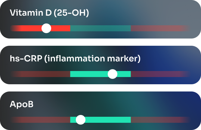 Three horizontal bars showing Vitamin D, hs CRP, and ApoB levels, symbolizing a detailed biological test that tracks key health indicators.